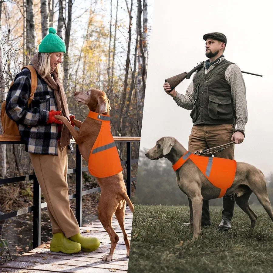 Orange Reflective Dog Vest for Outdoor Hunting/Walking. Safety Jacket/High Visibility