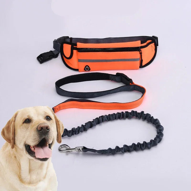 Hands Free Dog Reflective Leash with Waist Bag Retractable Elastic Belt