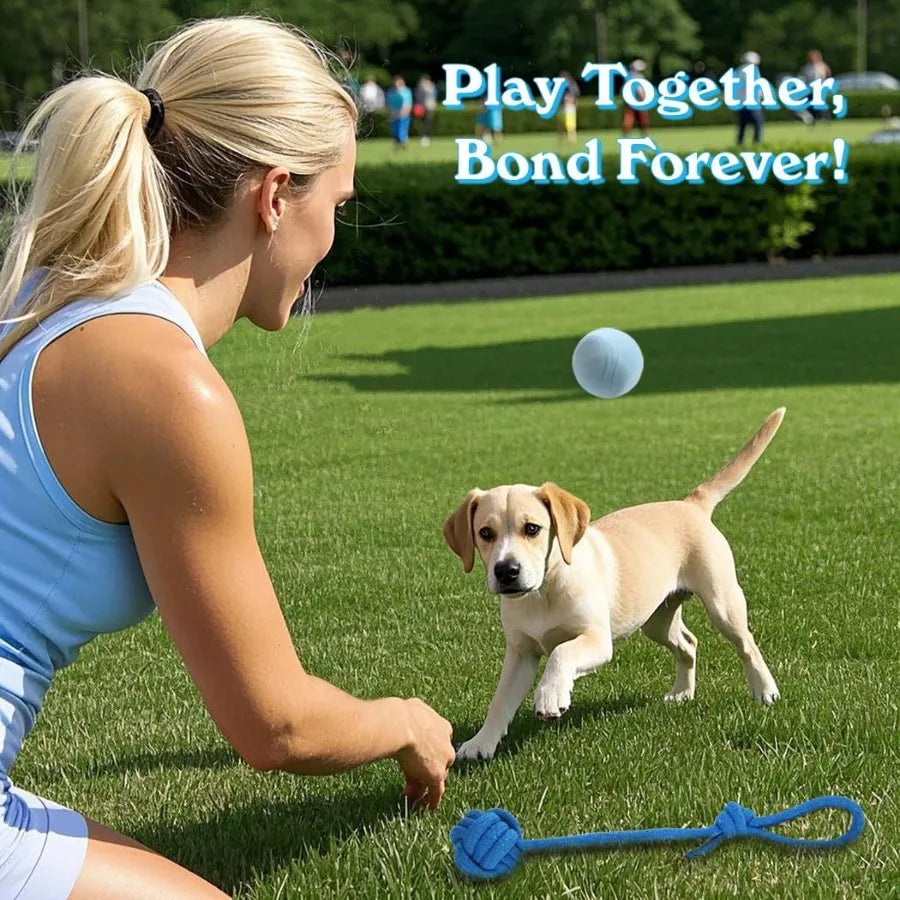 20-piece Chew Toys for Small Breeds. Teething Rings, Interactive Bundle