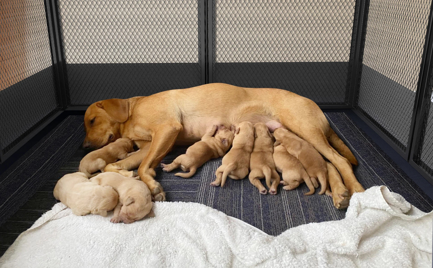 8 Panels DIY Heavy Duty Dog Playpen Outdoor Indoor. Has Waterproof Fertility Pad